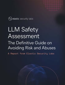 cover-elastic-security-labs-llm-safety-assessment-2024